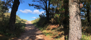 Wandern im Wechsel von Wald und Feld hinter Negreira