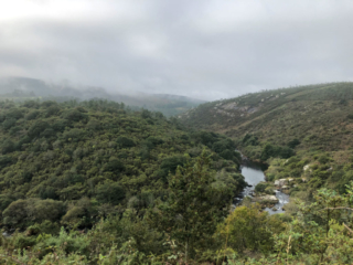 Auf dem Camino Fisterra noch vor Cee