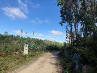 Pilgerweg auf der zweiten Etappe hinter Negreira