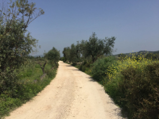 Wanderweg südlich von Rabacal auf dem Abschnitt Lissabon-Porto