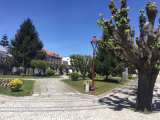 Albergaria a Velha