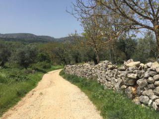 Pilgerweg Lissabon-Porto, südöstlich von Rabacal
