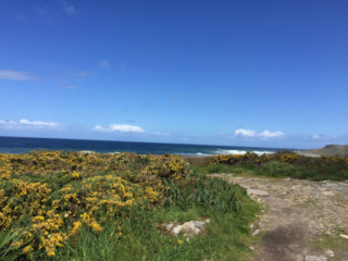 Weg am Meer entlang auf dem Küstenweg vor Baiona