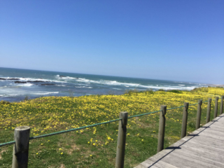 Pilgerweg nördlich von Matosinhos