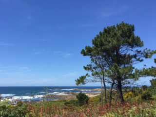 Pilgerweg in Spanien zwischen A Guarda und Baiona